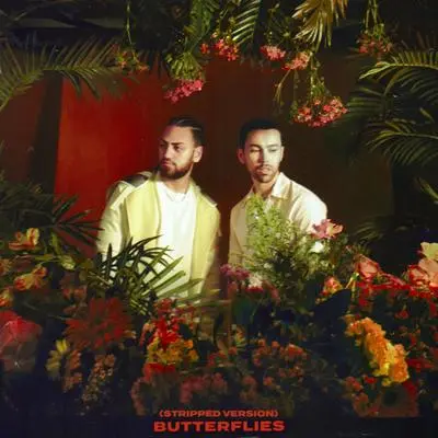 Butterflies(Stripped Version)封面