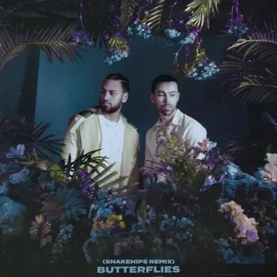 Butterflies(Snakehips Remix)封面