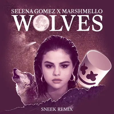 Wolves (Sneek Remix)封面