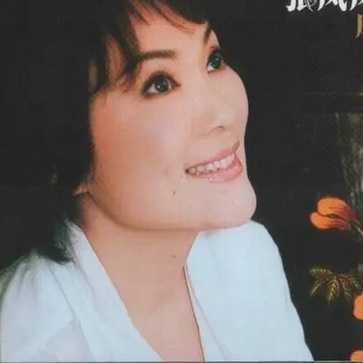 西湖春(倾心版)封面