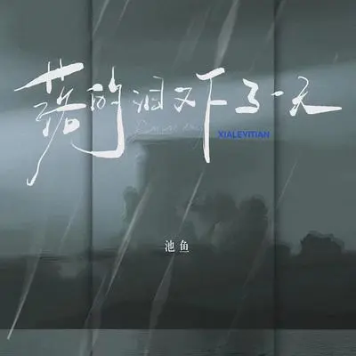 The tears fell another day(Instrumental)封面