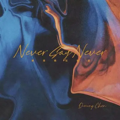 眼泪胜过谎言（Never say never）封面