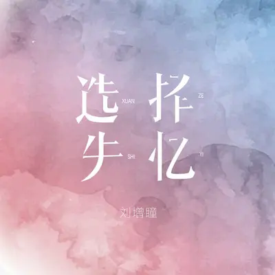 选择失忆 (DJ版)封面