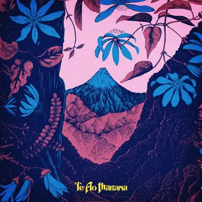 Hua Pirau / Fallen Fruit封面