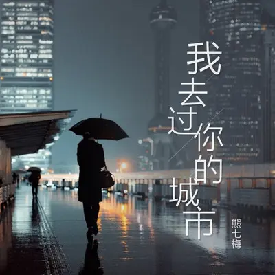 我去过你的城市封面