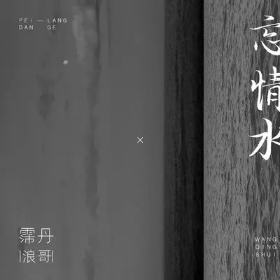 忘情水封面