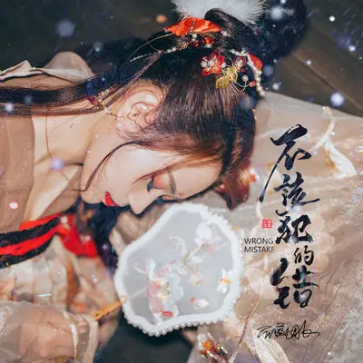 不该犯的错 (DJ默涵版)封面
