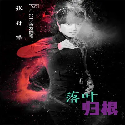 落叶归根封面
