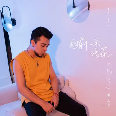 胸前一朵浪花(伴奏)封面