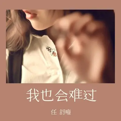 我也会难过封面
