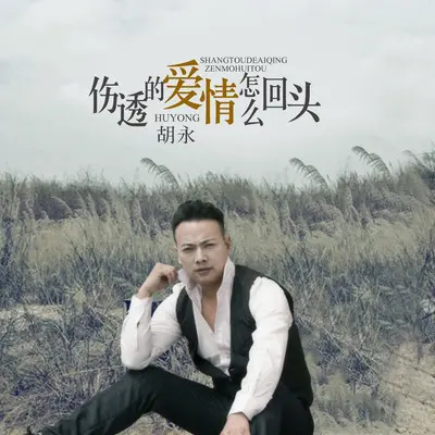 伤透的爱情怎么回头(DJheap九天版)(DJheap九天版)封面