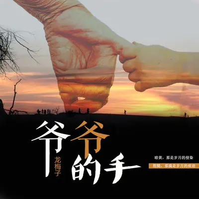 爷爷的手封面
