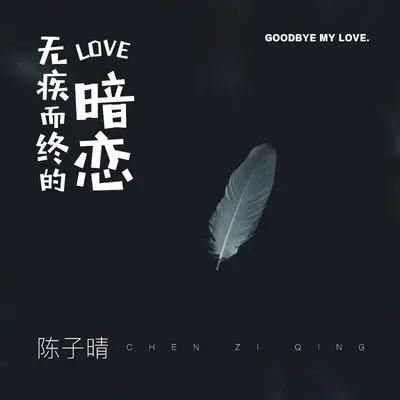无疾而终的暗恋封面