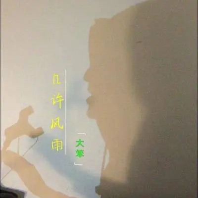 几许风雨封面