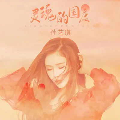 灵魂的国度(伴奏)封面