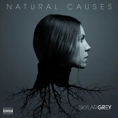 Closer - Skylar Grey封面