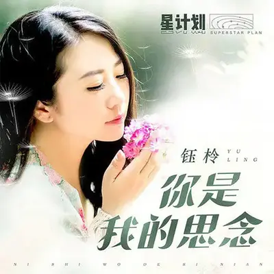 你是我的思念 (DJ伟然版伴奏）封面