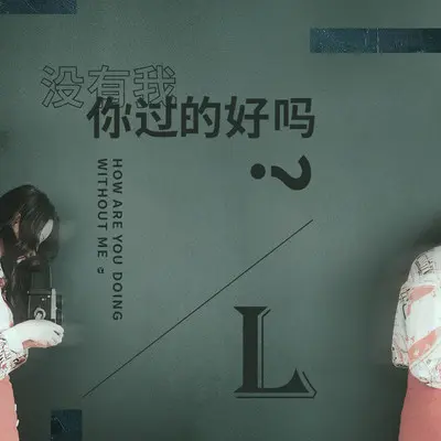 没有我,你过的好吗 - L（桃籽）封面