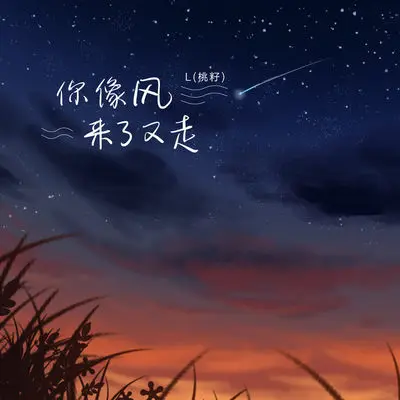 你像风来了又走(DJ默涵版)(DJ默涵版)封面