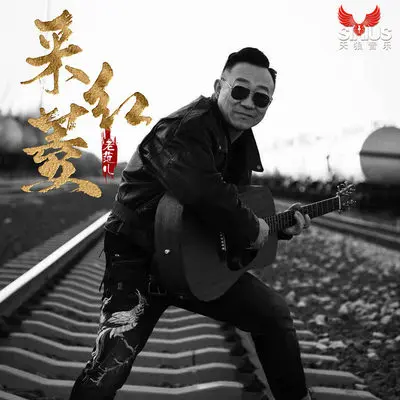 采红菱封面