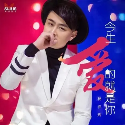 今生爱的就是你封面