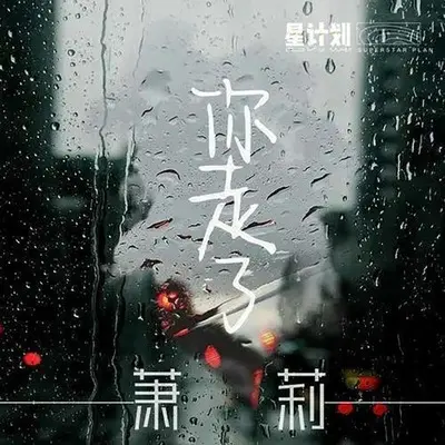你走了（伴奏）封面