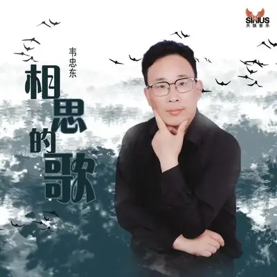 相思的歌（伴奏）封面