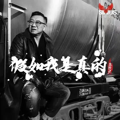 假如我是真的（伴奏）封面