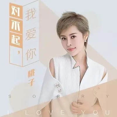 对不起我爱你封面
