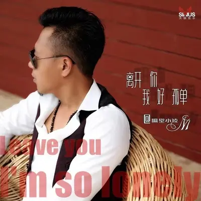 离开你我好孤单封面