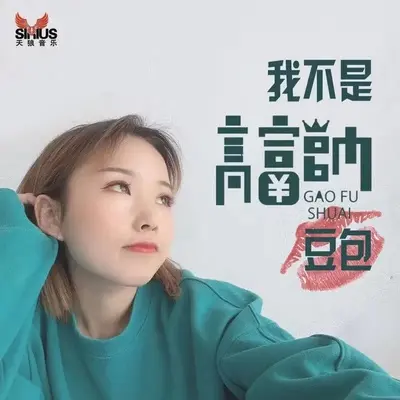 我不是高富帅 (DJ版)封面