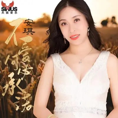 不爱何必承诺（伴奏）封面