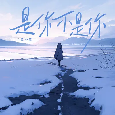 是你不是你封面