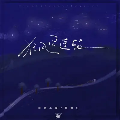狂风里逗留（伴奏）封面