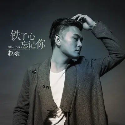 铁了心忘记你封面