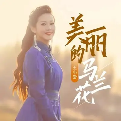 美丽的马兰花封面