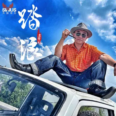 踏浪 (伴奏)封面