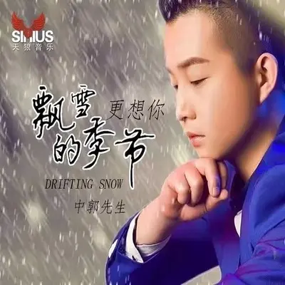 飘雪的季节更想你封面