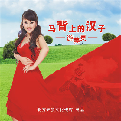 马背上的汉子（伴奏）封面