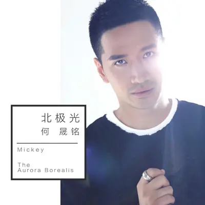 北极光封面
