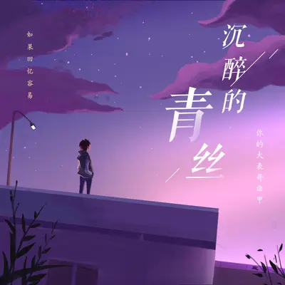 沉醉的青丝（想你 念你 dj版）封面