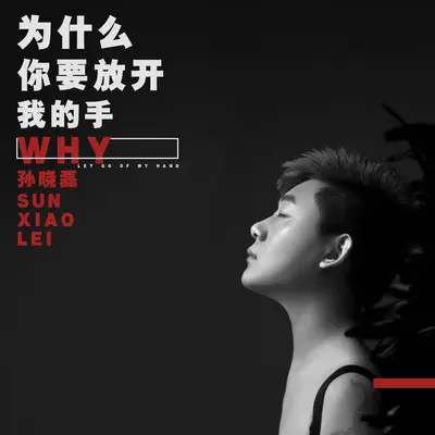 为什么你要放开我的手(Dj阿远版)封面