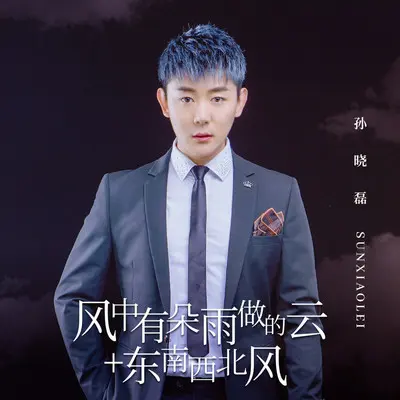 风中有朵雨做的云+东南西北风封面