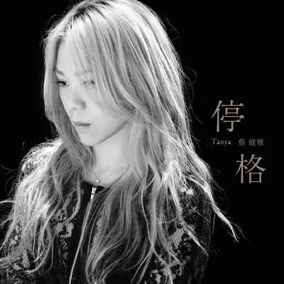 停格 (电影《澳门风云2》主题曲)封面