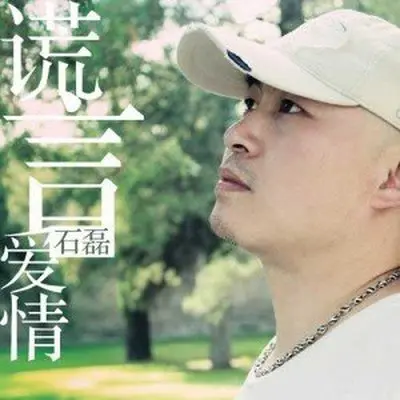 谎言爱情封面
