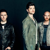 The Script