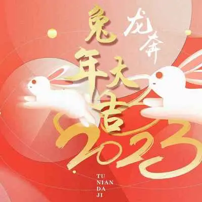 兔年大吉(DJ版)(伴奏)封面