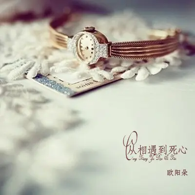 从相遇到死心（完整版）封面