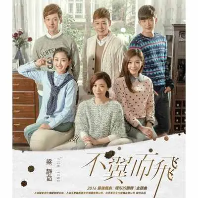 不翼而飞(电视剧《隐形的翅膀》主题曲) - 梁静茹封面