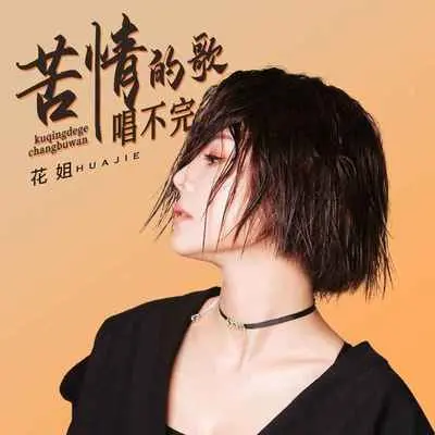 苦情的歌唱不完 (DJ默涵版)封面